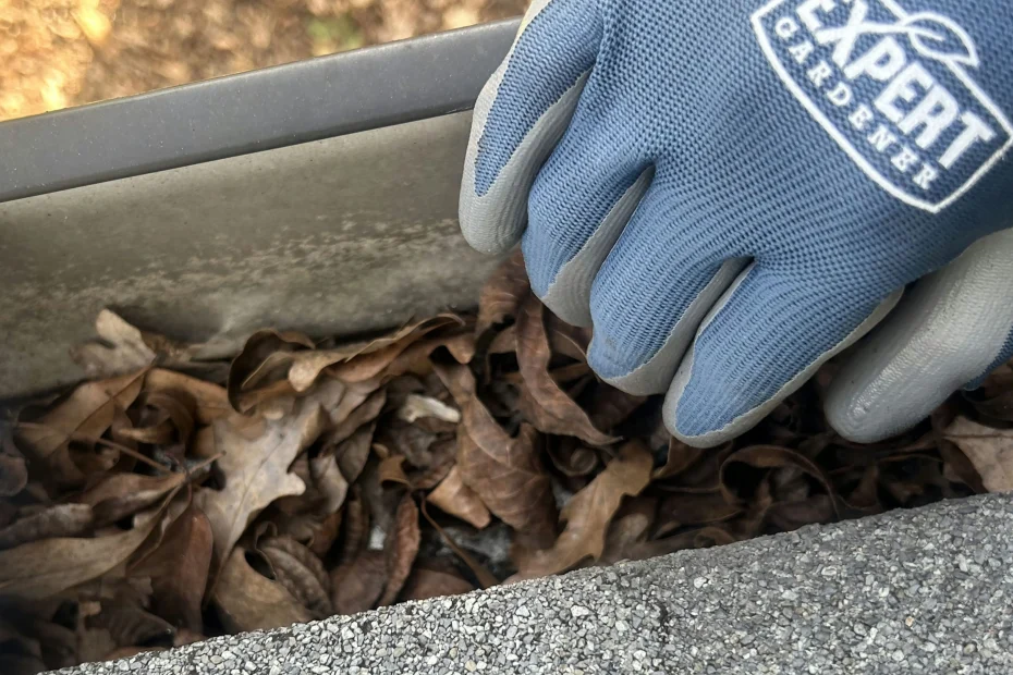 Gutter Cleaning Heber Springs AR