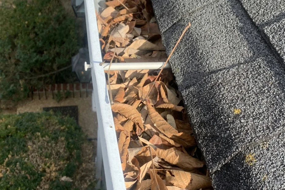 Gutter Cleaning Heber Springs AR